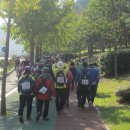 창원 마산 도심길 국화축제장 마감 이미지