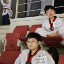 강신철 태권도 무인의 향기 태권도장 네이버블로그