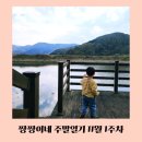 사명어린이집 | 짱짱이네 주말일기 11월 1주차