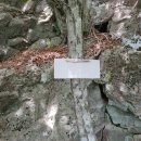 거제경찰서 덕산아파트 방면 | 거제국사봉에서 명재쉼터 지나 옥녀봉까지
