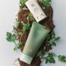 Point-봄의 향 이미지