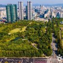 플라자B Daum카페