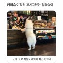 난커피숍