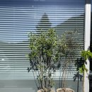 돈벼락 선지국 문경읍점 | [문경/상주 맛집] 카페1730, 문경하루, 할매손두부, 돈벼락선지국, 냉투더삼