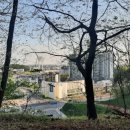 당두공원 이미지