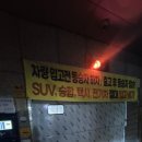 청호빌딩 | 강릉 교동 택지 염색 잘하는 곳 두피관리까지 완벽한 컬러드스파 강릉교동점 후기