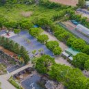 예그리나 B 이미지