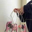 디스베리데이 이미지