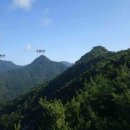 경남유성주유소 | 화왕지맥 석대산 -구현산 원점 산행기 (경남 창녕)
