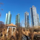 서울숲12 이미지