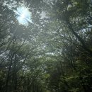 제주 위호텔 슬로우말차 스모키 녹차라떼 솔직후기