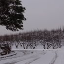 천안동성중학교 이미지