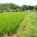 웅담2리 이미지