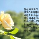 순정약국 이미지