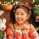 네버랜드，앨리스스튜디오