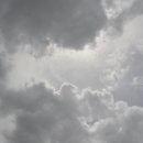 맑음그린 이미지