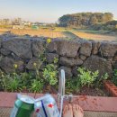 마드레한동 이미지