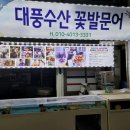 대풍수산 - 강서구 | 대풍수산