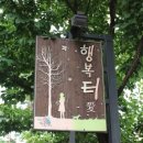 행복로 8 일원 이미지