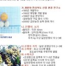 금반농장 네이버블로그