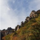 내님이 나라 이미지