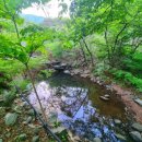 오서산 늘봄 가족독채펜션 | 홍성독채펜션 오서산늘봄펜션