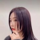 헤어 스튜디오 봄