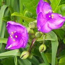 하늘아래첫집 이미지