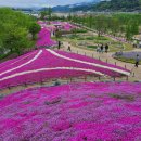 거창국밥 이미지