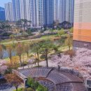 꿈에그린3차아파트 이미지