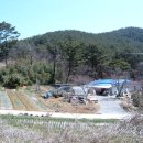 [도로]푸른지대 삼거리 이미지