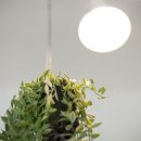 파리에다녀온치킨 이미지