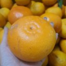 야베스하우스 이미지