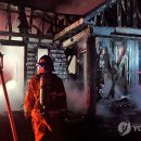 무릉도원면-50 이미지