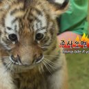 석지농장 이미지