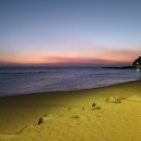 삼손스포츠수기명가 이미지