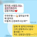 인생눈썹 이미지
