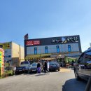 에바다애견 이미지