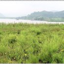 부곡수변공원 이미지