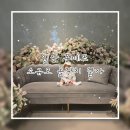 우래장식당 | 일산 본페뜨 - 소규모 돌잔치 백석(+할인정보/추천인 등)