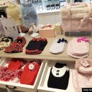 펫 파라다이스(pet paradise) 이미지