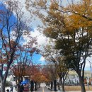 씨유천안병천희망점 | 천안 독립기념관 단풍명소 | 스탬프 이벤트 참여후기