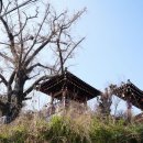 월문천2 이미지