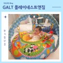 6개월 아기 장난감 GALT 플레이네스트앤짐 아기체육관 대여 후기