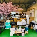 캠핑고래 경산점 이미지