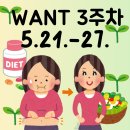 내면이 강화된 심으뜸다이어트 원트다이어트 마지막주차