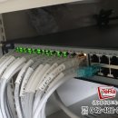 (주)테라네트워크