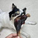 아우우(Aww) 이미지