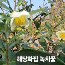 2025년11월29일 (토요일)♧아침과저녁 의미♧ 이미지