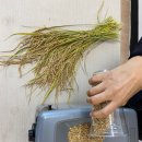 광덕 문화광장 이미지